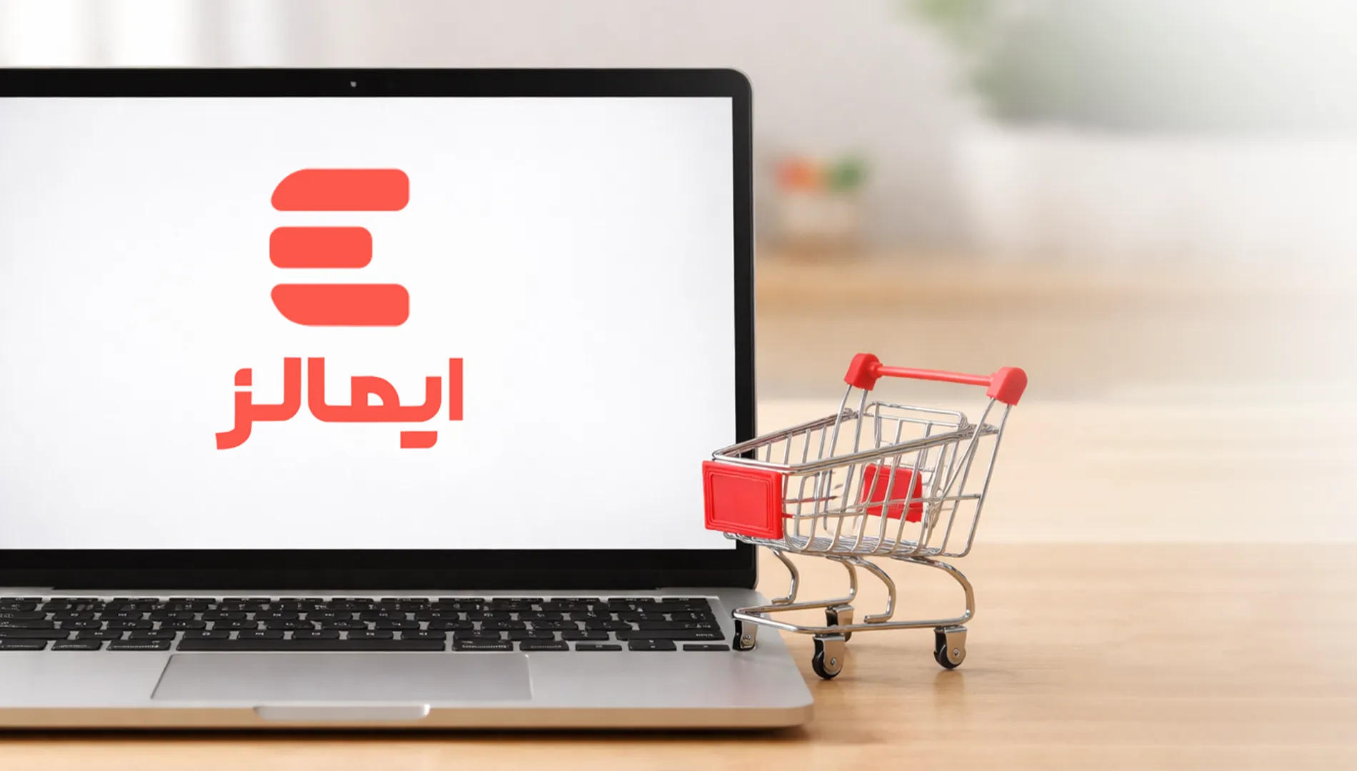 چطور سایت خود را به ایمالز متصل کنیم