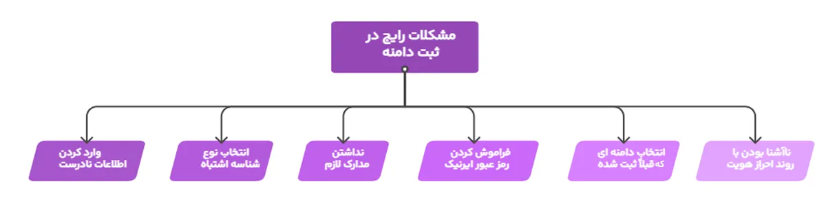 مشکلات رایج در ثبت دامنه 